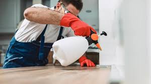 Best Real Estate Pest Inspections  in Grantsville, UT